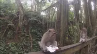 Hutan Monyet Ubud