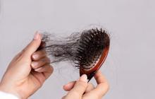 Cara Mengatasi Rambut Rontok Secara Alami dengan Daun Kari dan Biji Fenugreek