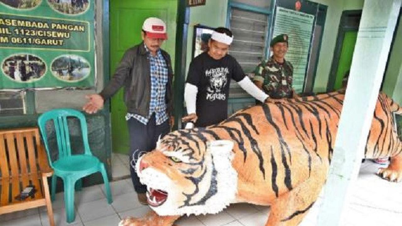 Beda Gaya Dedi Mulyadi dan Ridwan Kamil Sikapi Si Macan Lucu