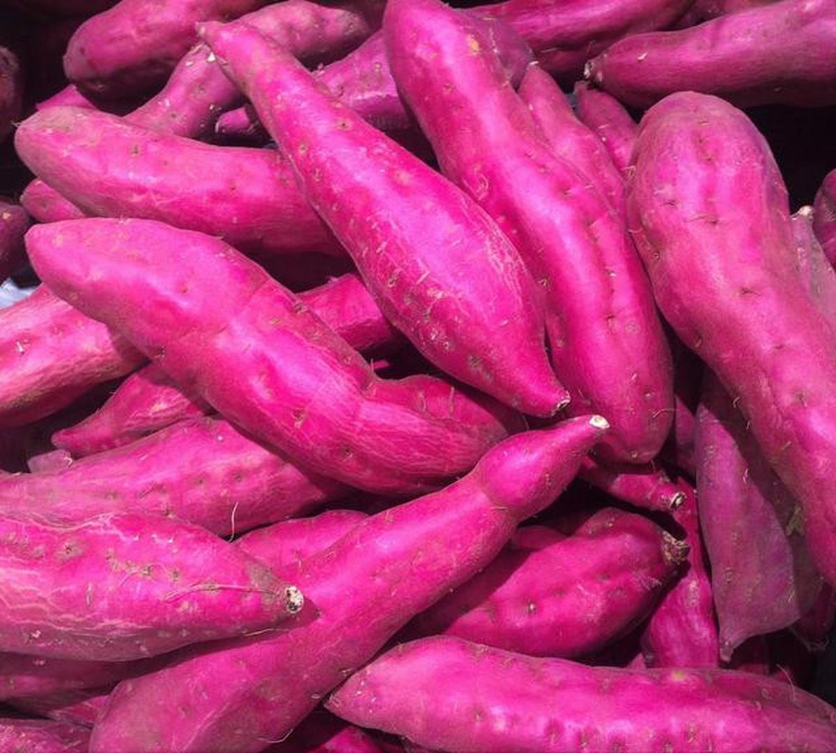 Manfaat Ubi Jalar untuk Sarapan, Cocok untuk Diet Optimal
