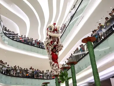 Barongsai Tonggak melakukan atraksi di depan pengunjung Lippo Mall Puri, Jakarta Barat, (21/01). Atraksi barongsai ini disuguhkan dari sanggar seni Kong Ha Hong yang telah menjuarai kompetisi World Champion. (Liputan6.com/Fery Pradolo)