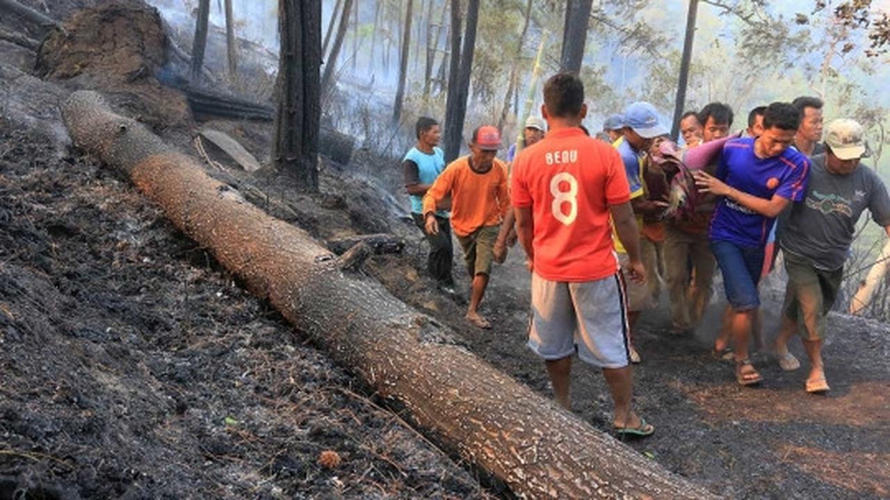 Evakuasi 4 korban tewas kebakaran hutan pinus di Ponorogo