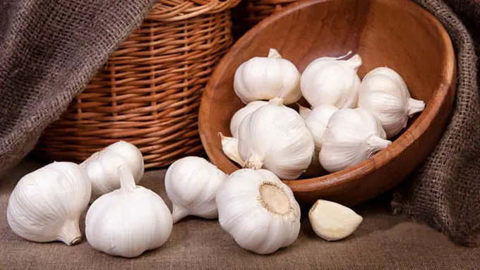 copyright by Shutterstock.com