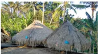 Masyarakat adat suku Blolong yang mendiami Desa Lolong, Kecamatan Nagawutung, Kabupaten Lembata, NTTmemiliki kampung adat yang berada di wilayah perbukitan tepat di belakang desa ini.
