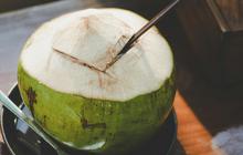 Sehat Alami dengan Air Kelapa di Pagi Hari: Ini Keuntungan untuk Tubuhmu!