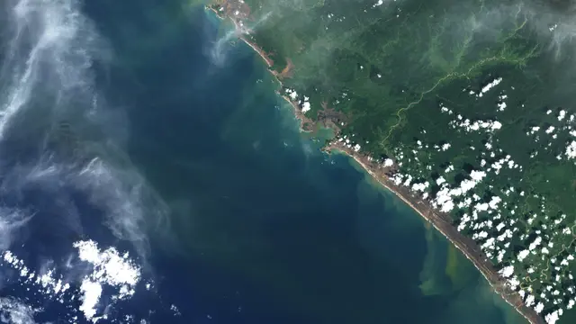 BF Tsunami 2