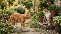 7 Tanaman Hias yang Aman untuk Kucing, Rumah Tetap Cantik Tanpa Bikin Khawatir