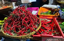 PIHPS Catat Kenaikan Harga Pangan: Cabai Rawit Tembus Rp60.000/kg, Telur Ayam Rp31.000/kg