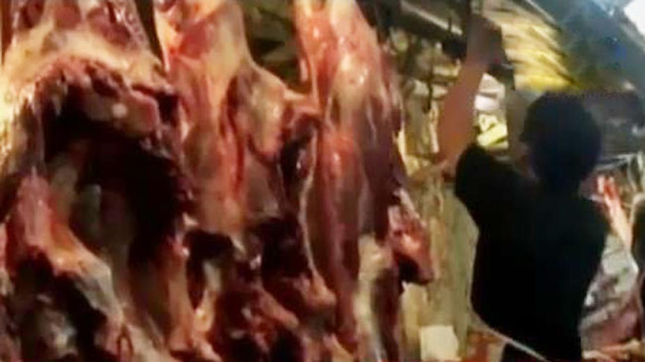 Segmen 6: Harga Daging Naik hingga TNI AL Tanam Terumbu Karang