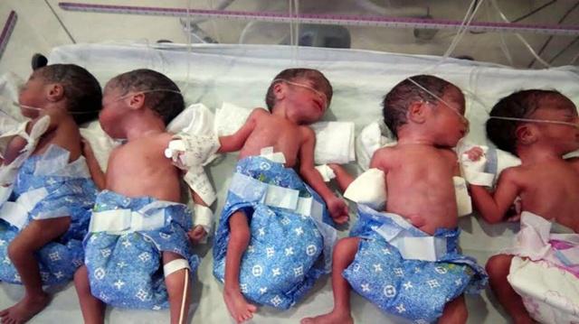 Bayi kembar lima buah hati Manita | Photo: Copyright metro.co.uk