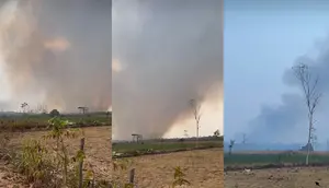 Kebakaran Way Kambas Meluas, Warga Waswas Gajah Jadi Buas