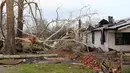 Sejumlah pohon tumbang akibat tornado yang melanda Alabama, Sabtu (26/12/2015). Letnan Polisi Birmingham Sean Edwards mengatakan sedikitnya ada tiga orang dilarikan ke rumah sakit un¬tuk mendapatkan pengobatan luka ringan. (Reuters/ Marvin Gentry)