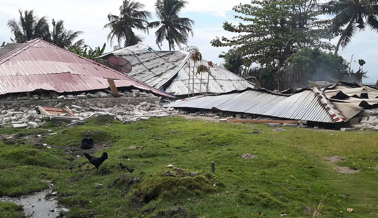 Kawanan ayam berkeliaran di depan rumah-rumah yang rusak akibat gempa di Ambon, Maluku, Jumat (27/9/2019). BNPB menyebut korban meninggal akibat gempa magnitudo 6,5 yang mengguncang Maluku pada Kamis 26 September 2019 sebanyak 23 orang. (HO/BADAN NASIONAL PENANGGULANGAN BENCANA/AFP)