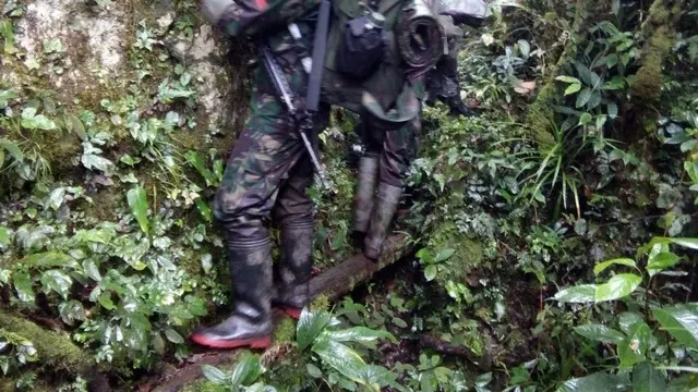 Papua