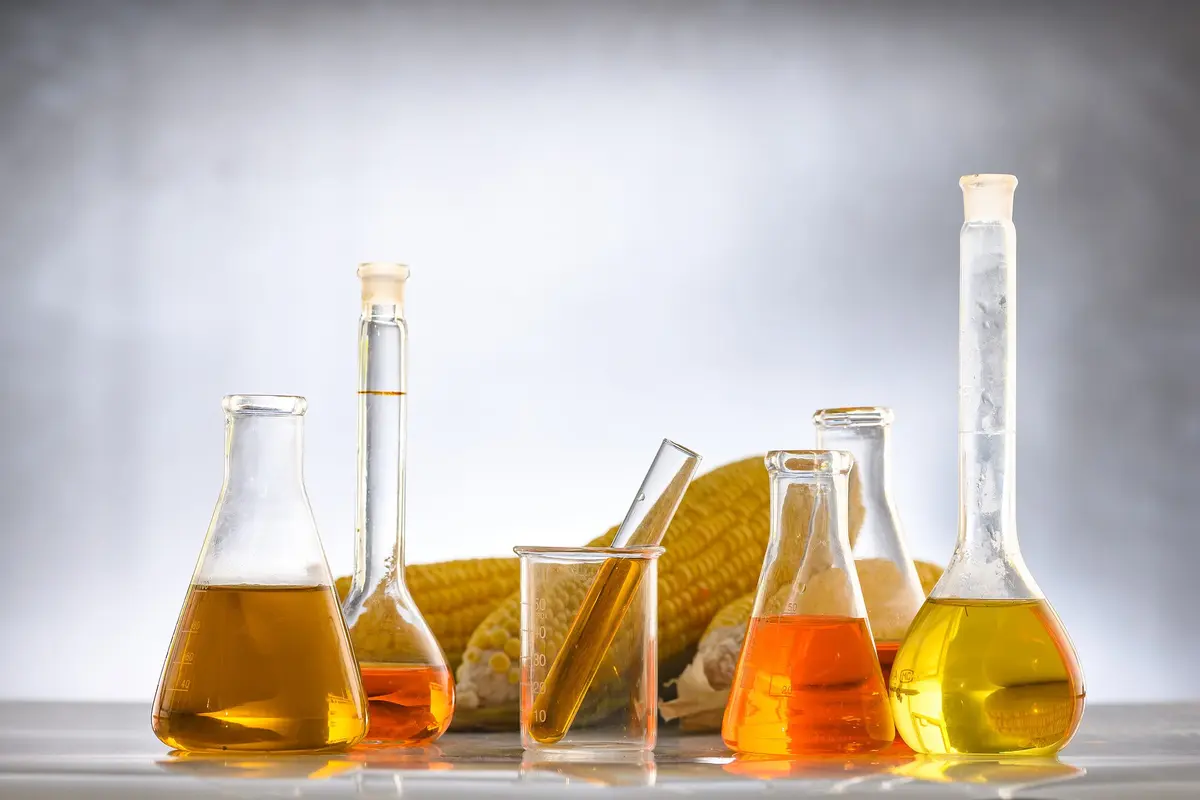 Ilustrasi biofuel atau bahan bakar hayati