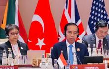 Jokowi Ajak Pemimpin G20 Lakukan Aksi Nyata Lestarikan Bumi: Indonesia Turunkan Emisi 91,5 Juta Ton Tahun 2022