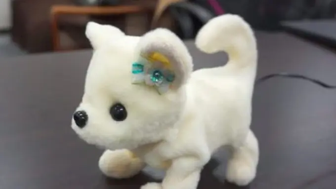 Copyright odditycentral.com