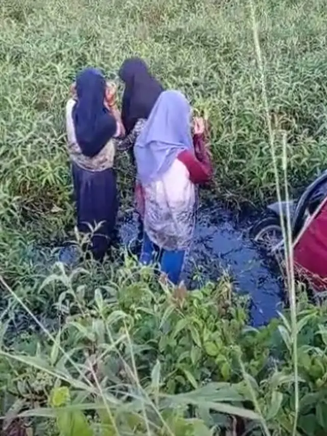 Viral, Diduga Kehilangan Keseimbangan Ketiga Wanita Ini Jatuh Ke Sawah