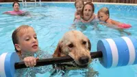 Jadi Idola, Anjing Ini Pelatih Renang Anak Berkebutuhan Khusus