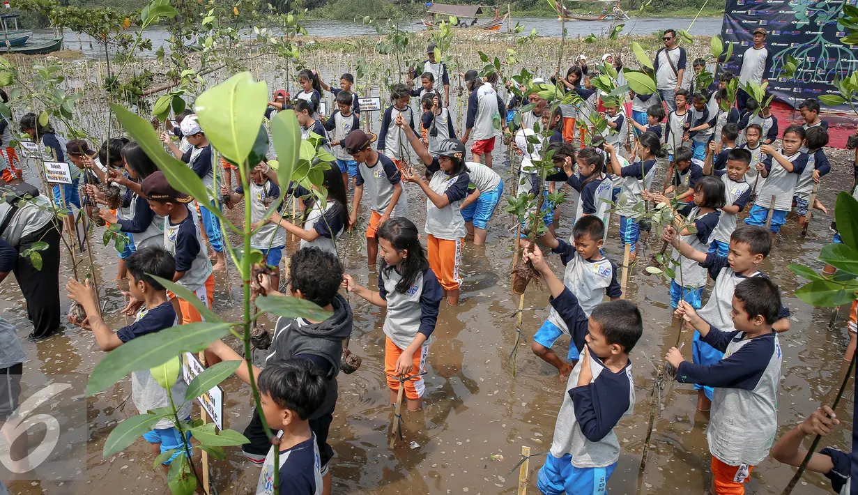 Sejumlah siswa siswi SDN Pluit 03 bersama PLN Jawa Bali dan Komunitas Mangrove menanam bibit mangrove di Pesisir Pantai Muara Karang, Jakarta, Kamis (29/10). Sebanyak 5.000 bibit baru ditanam untuk memperkuat ekosistem. (Liputan6.com/Faizal Fanani)