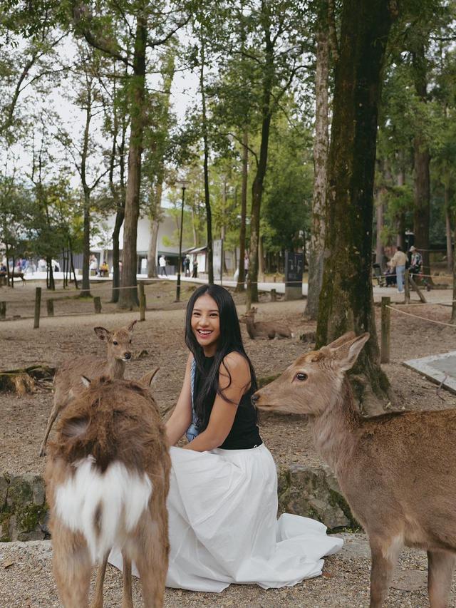 7 Potret Seru Anya Geraldine Main Bareng Rusa di Kota Nara