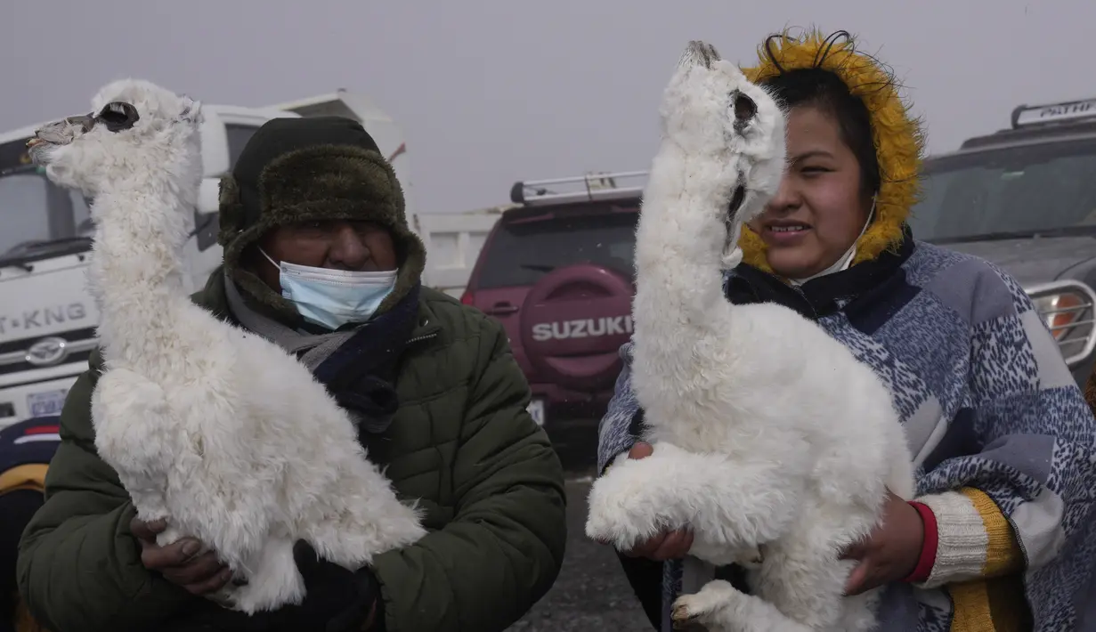 Seorang pria dan wanita memegang llama muda untuk dibakar dalam ritual persembahan menghormati Pachamama atau Ibu Pertiwi di pinggiran La Paz, Bolivia, Minggu (1/8/2021). Menurut tradisi Aymara, Pachamama terbangun lapar dan haus setiap bulan Agustus setelah musim kemarau. (AP Photo/Juan Karita)