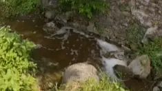 liputan6