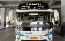 Ratusan Armada Damri Layani Mudik Gratis, Ini Titik Keberangkatannya