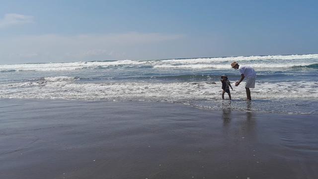 Pantai Parangtritis, Bantul, DIY (Foto: Benedikta Desideria)