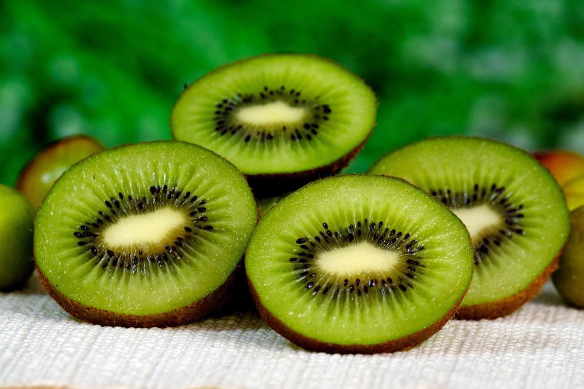 Ilustrasi Buah Kiwi