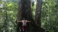 Taman Nasional Kayan Mentarang. (dok. Istimewa)