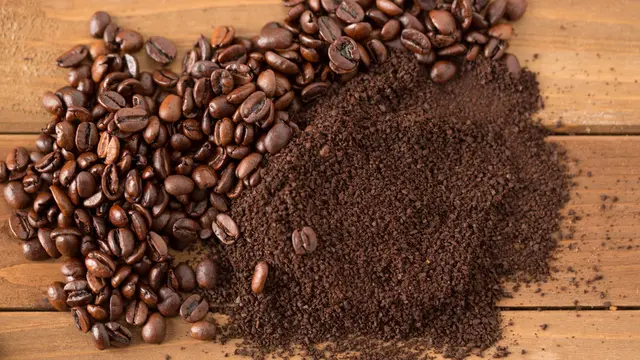 Ilustrasi kopi