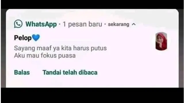 6 Chat Pacar Minta Putus Ini Alasannya Unik, Bikin Geregetan