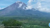 Gunung Semeru di Perbatasan Kabupaten Lumajang dan Kabupaten Malang Erupsi Lagi (Istimewa)