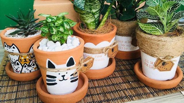 Rekomendasi 6 Tempat Jual Pot Unik Untuk Tanaman Hias Lifestyle Liputan6 Com
