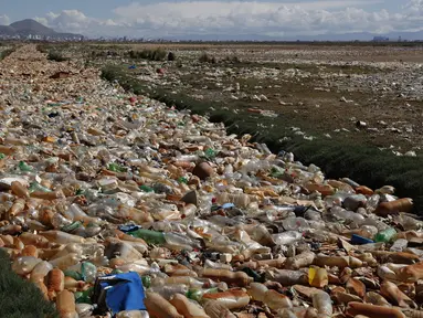 Botol plastik dan sampah mengapung di Sungai Tagaret, yang mengalir ke Danau Uru Uru, dekat Oruro, Bolivia, Kamis (25/3/2021). Sungai ini mengalir ke Danau Uru Uru dengan membawa sampah-sampah yang mencemari danau. (AP Photo / Juan Karita)