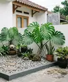 Taman Kering dengan Batu Koral dan Monstera. (AI Generated)