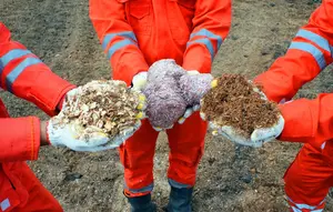 Olah Limbah Jadi Energi, Buka Peluang Lapangan Kerja Hijau