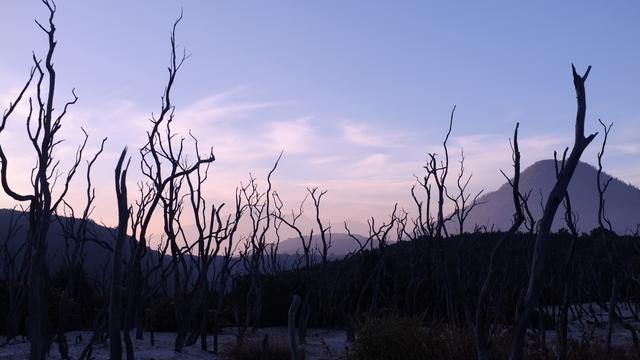 Ilustrasi tempat wisata Gunung Papandayan, Garut