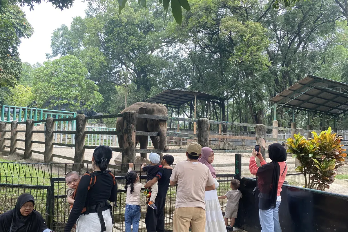 Keramaian terlihat di Taman Margasatwa Ragunan saat libur panjang akhir pekan Kenaikan Yesus Kristus.