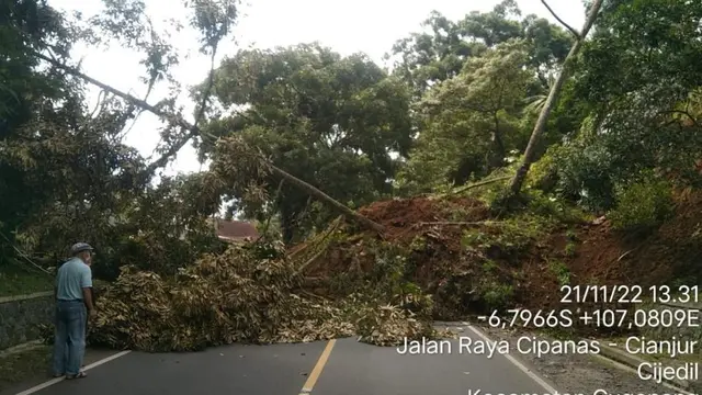 Longsor di jalan yang menghubungkan kawasan Puncak-Cipanas-Cianjur. Longsor tersebut dampak gempa dengan magnitudo 5,6 yang berpusat di Cianjur. (Dok Kementerian PUPR)