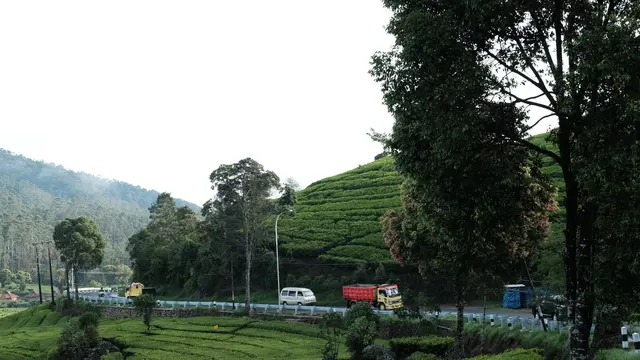 Jalan di Puncak.