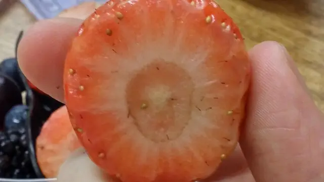 6 Penampakan Buah Usai Dipotong Ini Bikin Heran, Bentuknya Unik