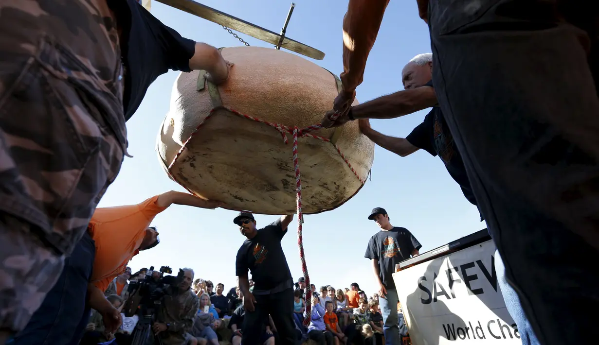 Sejumlah juri saat akan menimbang labu pada perlombaan Safeway World Championship Pumpkin Weigh-Off yang ke-42 di Half Moon Bay, California, Senin (12/10). Acara tahunan tersebut memperlombakan hasil panen berupa labu raksasa. (REUTERS/Stephen Lam)
