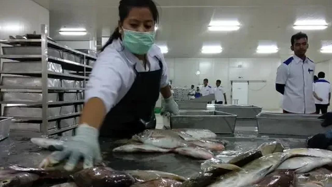 Kepala Badan Penyelenggara Jaminan Produk Halal (BPJPH) Kemenag Muhammad Aqil Irham menyatakan, jika ada restoran pada tahun 2024 belum ada sertifikat halal maka bakal dikenakan sanksi.