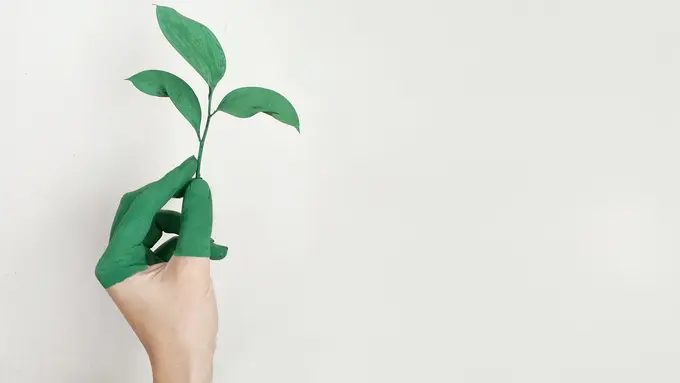 [Fimela] ilustrasi bisnis ramah lingkungan