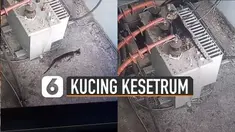 Tiba-tiba tubuhnya kaku setelah mulutnya menyentuh katup listrik bertegangan tinggi.