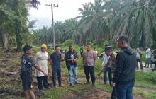 Panen Sawit Berujung Petaka, Remaja 17 Tahun Tewas Tersengat Listrik