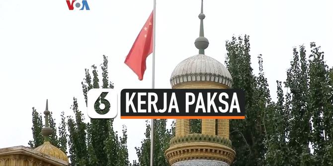 VIDEO: Kongres AS Soroti Kerja Paksa Uighur