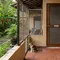 8 Cara Mengusir Kucing dari Kebun Tanpa Menyakiti, Tetap Efektif dan Humanis
